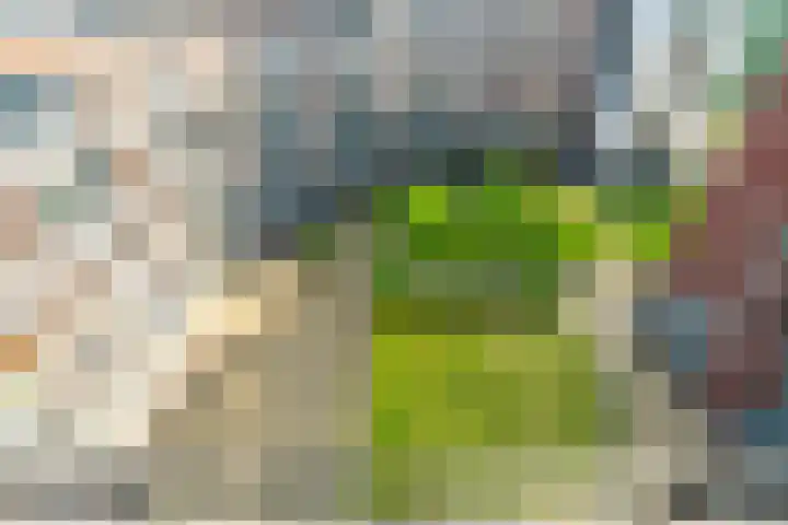 Ommedijk 105 Leiderdorp thumbnail 35