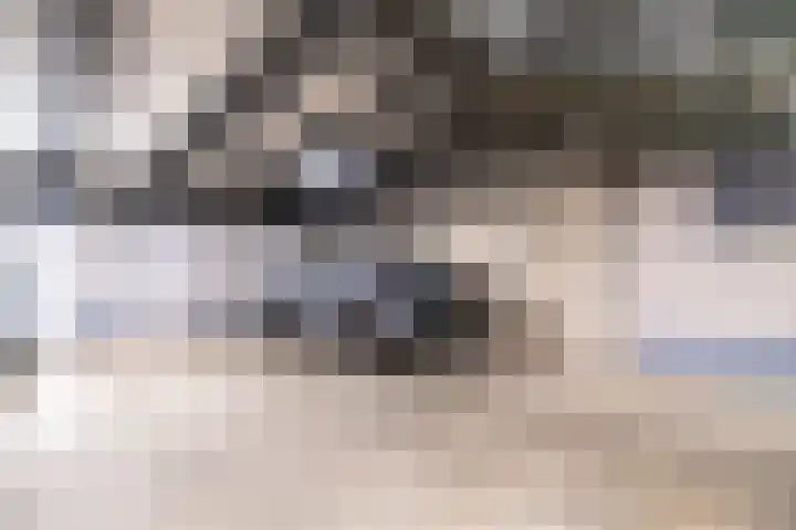 Ommedijk 105 Leiderdorp thumbnail 38