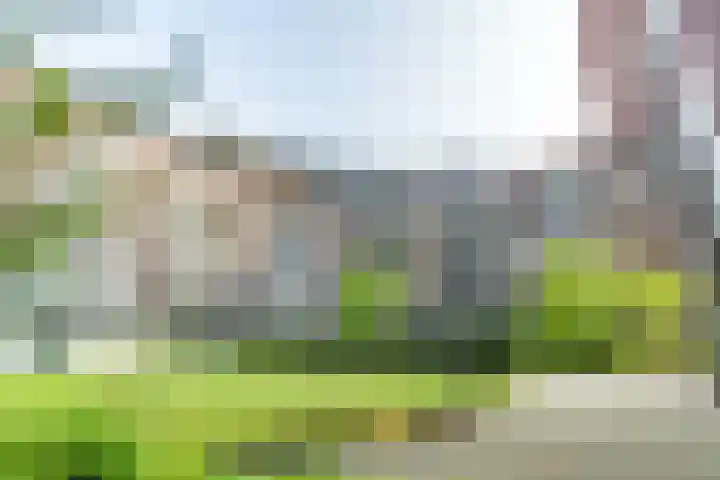 Ommedijk 105 Leiderdorp thumbnail 40