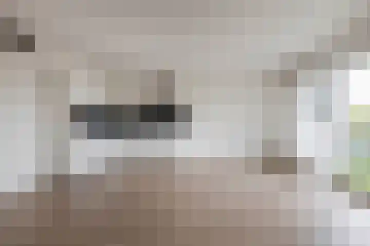 Ommedijk 105 Leiderdorp thumbnail 41