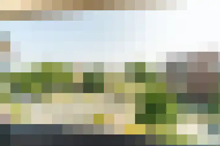 Ommedijk 105 Leiderdorp thumbnail 5