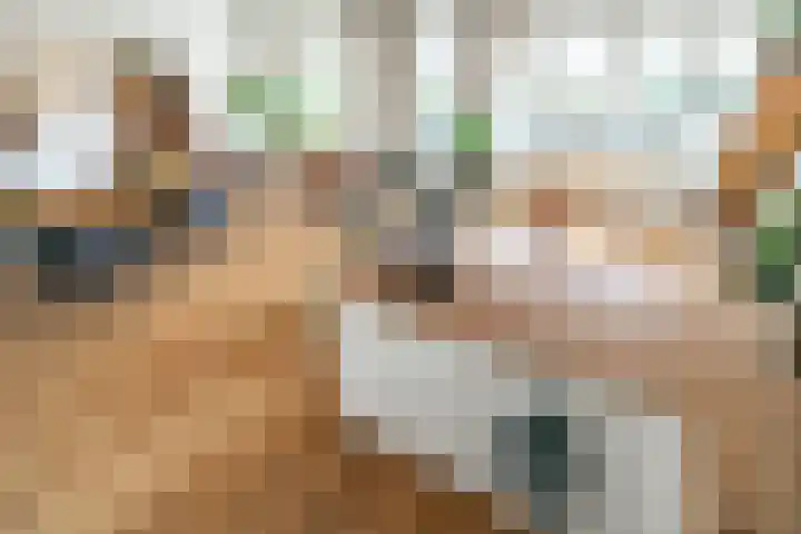 Ommedijk 105 Leiderdorp thumbnail 9