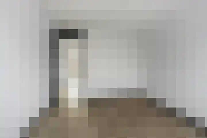 Ommedijk 107 Leiderdorp thumbnail 15