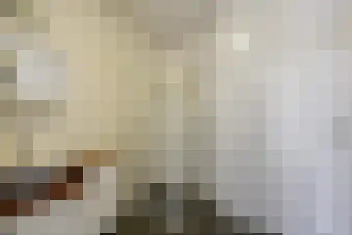 Ommedijk 107 Leiderdorp thumbnail 16