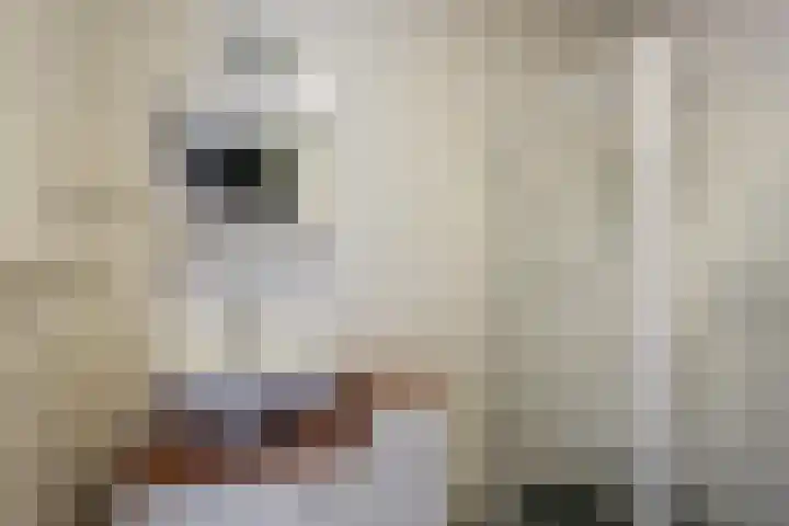 Ommedijk 107 Leiderdorp thumbnail 17