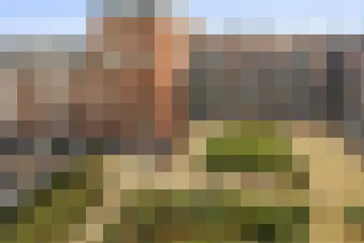 Ommedijk 107 Leiderdorp thumbnail 5