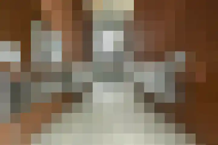 Ommedijk 107 Leiderdorp thumbnail 6