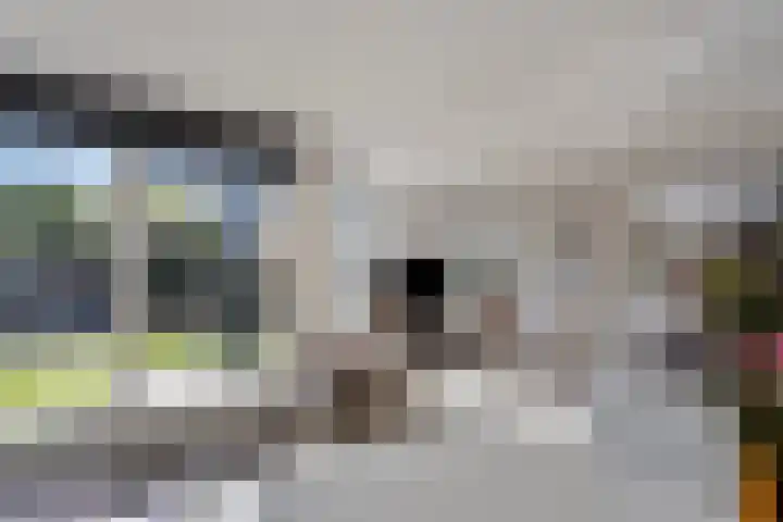 Ommeland 24 Purmerend thumbnail 7