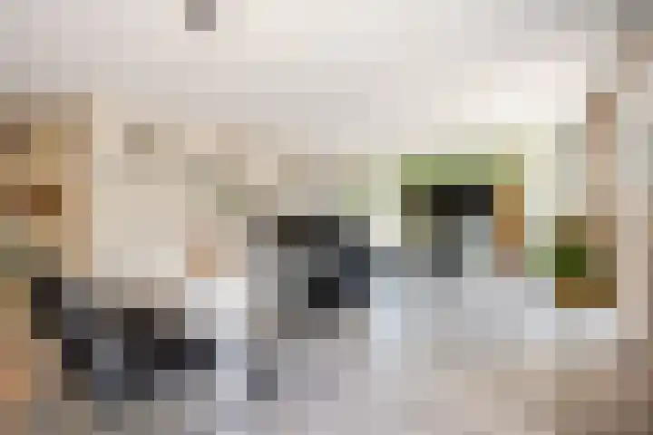 Ommeland 27 Purmerend thumbnail 12