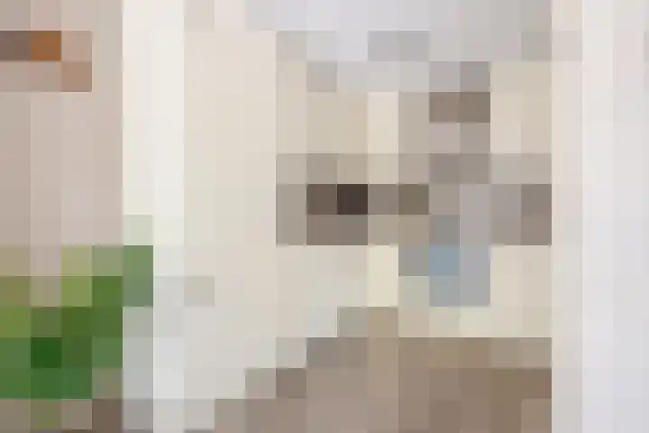 Ommeland 27 Purmerend thumbnail 14