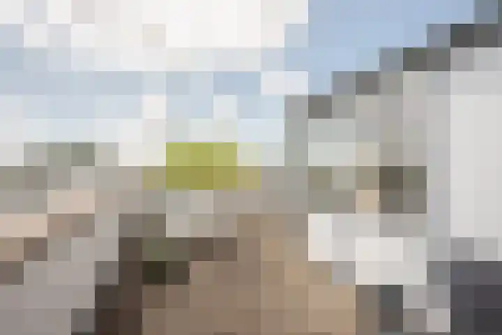 Ommeland 27 Purmerend thumbnail 29