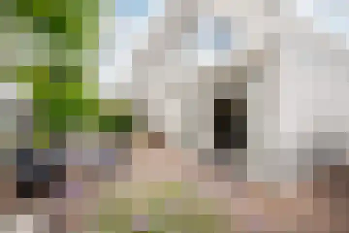 Ommeland 27 Purmerend thumbnail 30