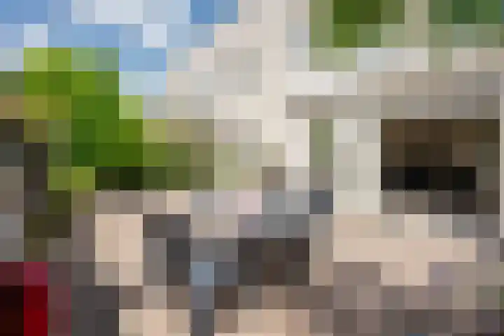 Ommeland 27 Purmerend thumbnail 31