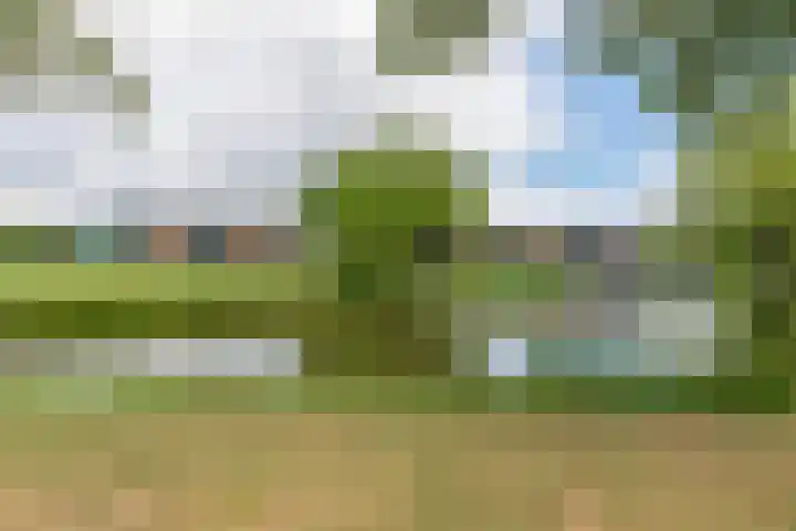 Ommeland 27 Purmerend thumbnail 39
