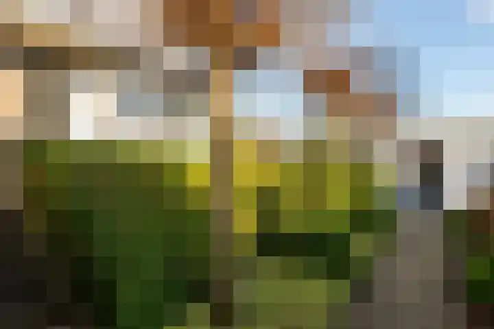 Ommelandvaart 22 Almere thumbnail 42