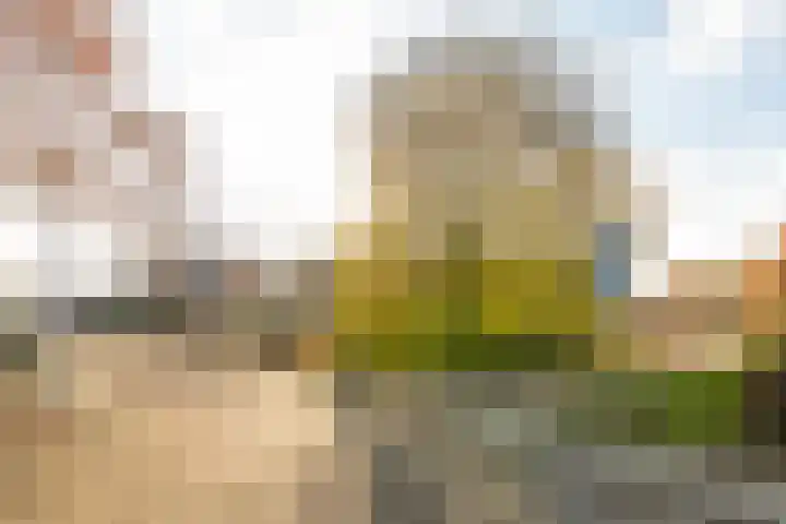 Ommelandvaart 22 Almere thumbnail 45
