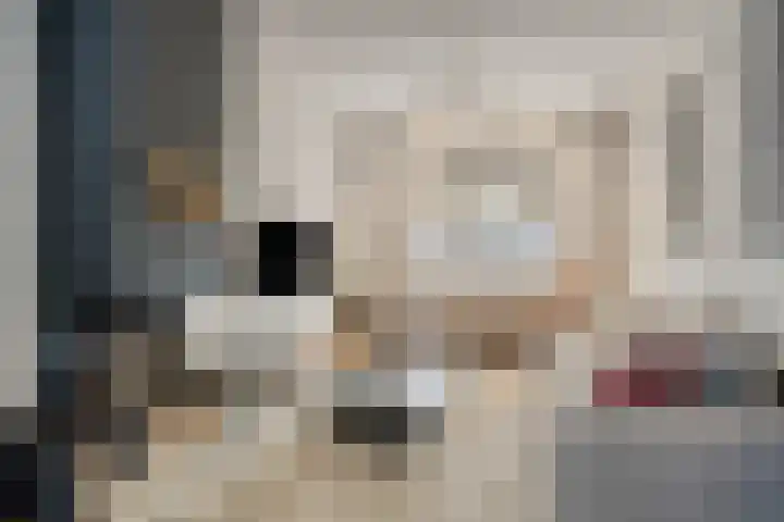 Ommelseweg 9 Asten foto 2