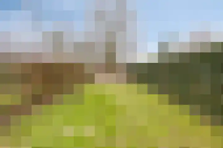 Ommelseweg 9 Asten thumbnail 5