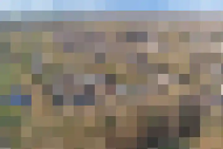 Ommerbos 40 Enschede thumbnail 33