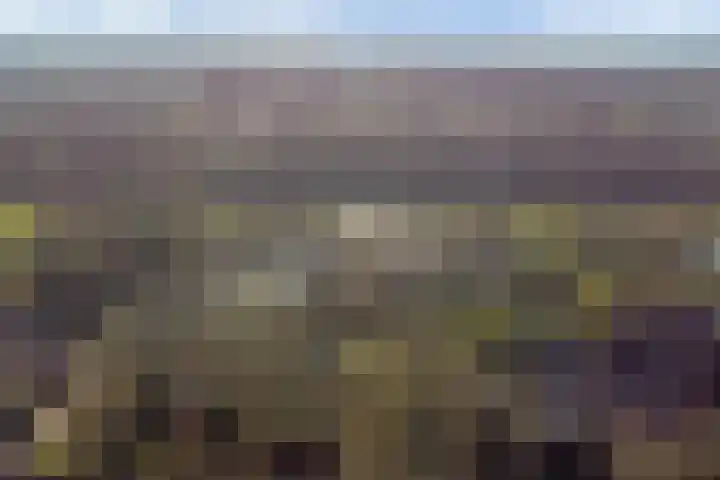 Ommerbos 40 Enschede thumbnail 34