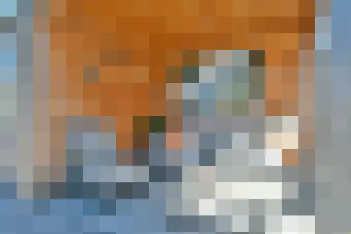 Ommerbos 47 Hoofddorp thumbnail 22