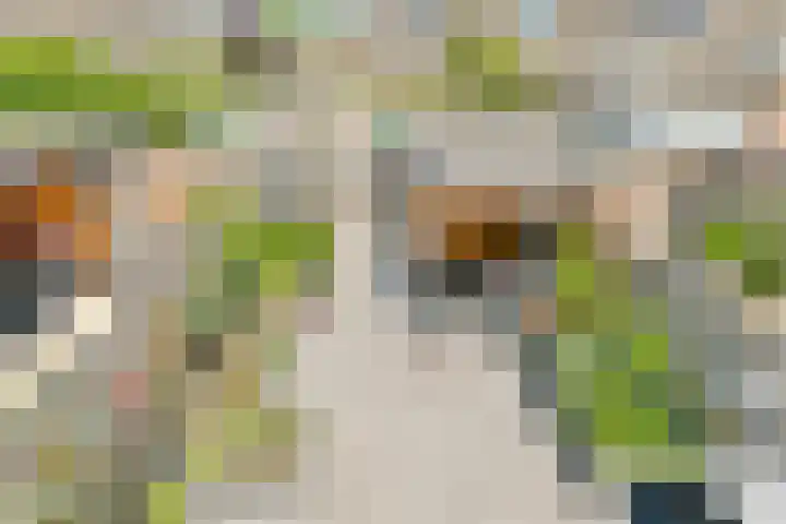 Ommerbos 47 Hoofddorp thumbnail 25