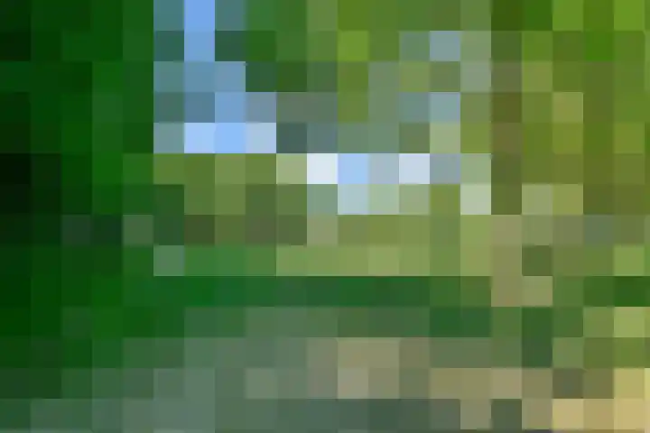 Ommerbos 47 Hoofddorp thumbnail 37