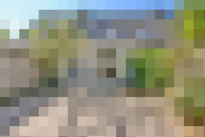 Ommerbos 87 Hoofddorp thumbnail 18