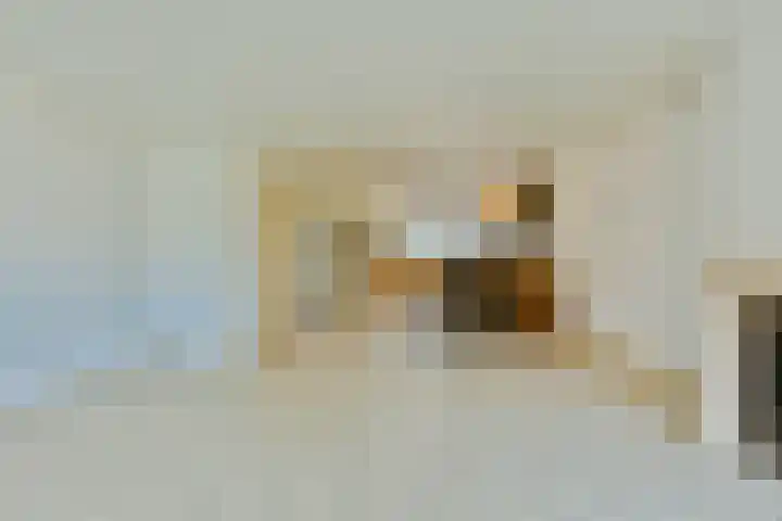 Ommerbos 87 Hoofddorp thumbnail 7