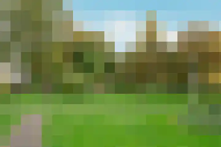Ommerenhof 20 Amsterdam thumbnail 32