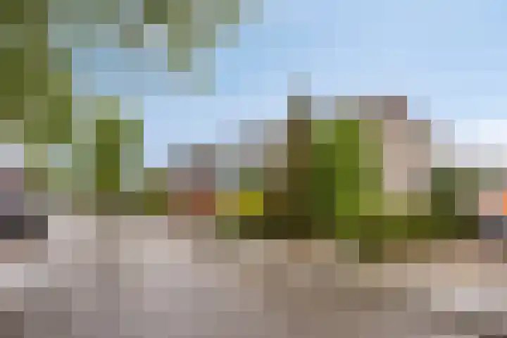 Ommersteinsestraat 10 Echteld thumbnail 4