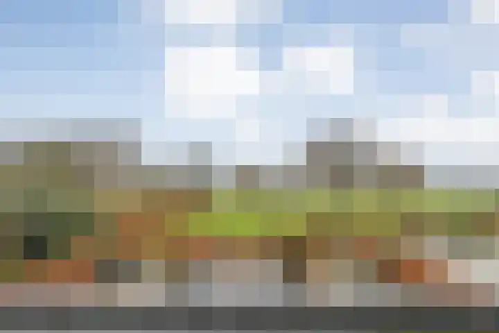 Ommerweg 23 Hellendoorn thumbnail 32