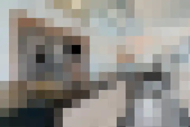 Ommerweg 23 Hellendoorn thumbnail 7