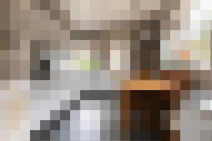 Ommestraat 3 Kesteren thumbnail 10