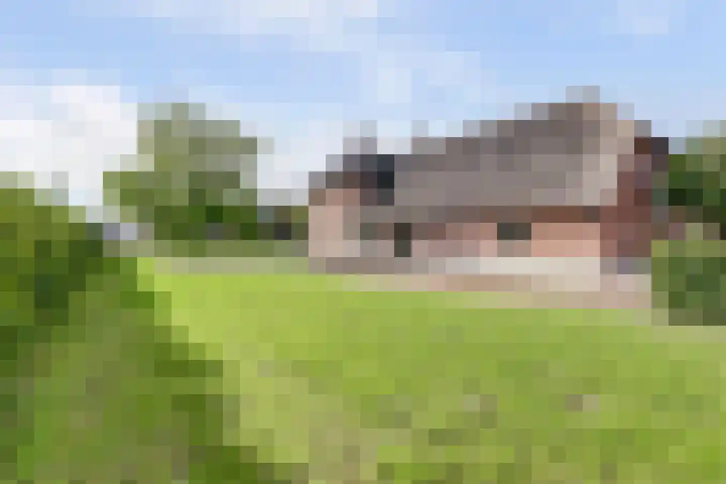 Ommestraat 3 Kesteren thumbnail 101