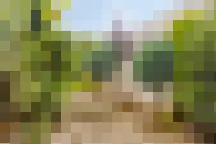 Ommestraat 3 Kesteren thumbnail 125