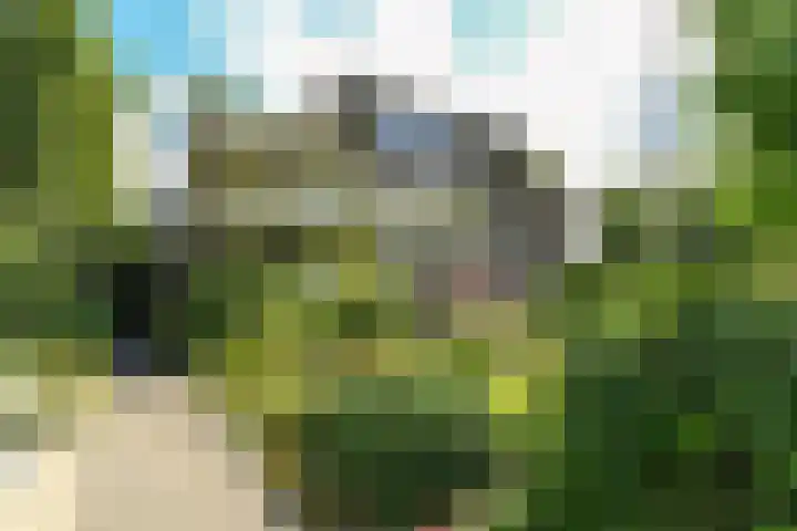 Ommestraat 3 Kesteren thumbnail 14