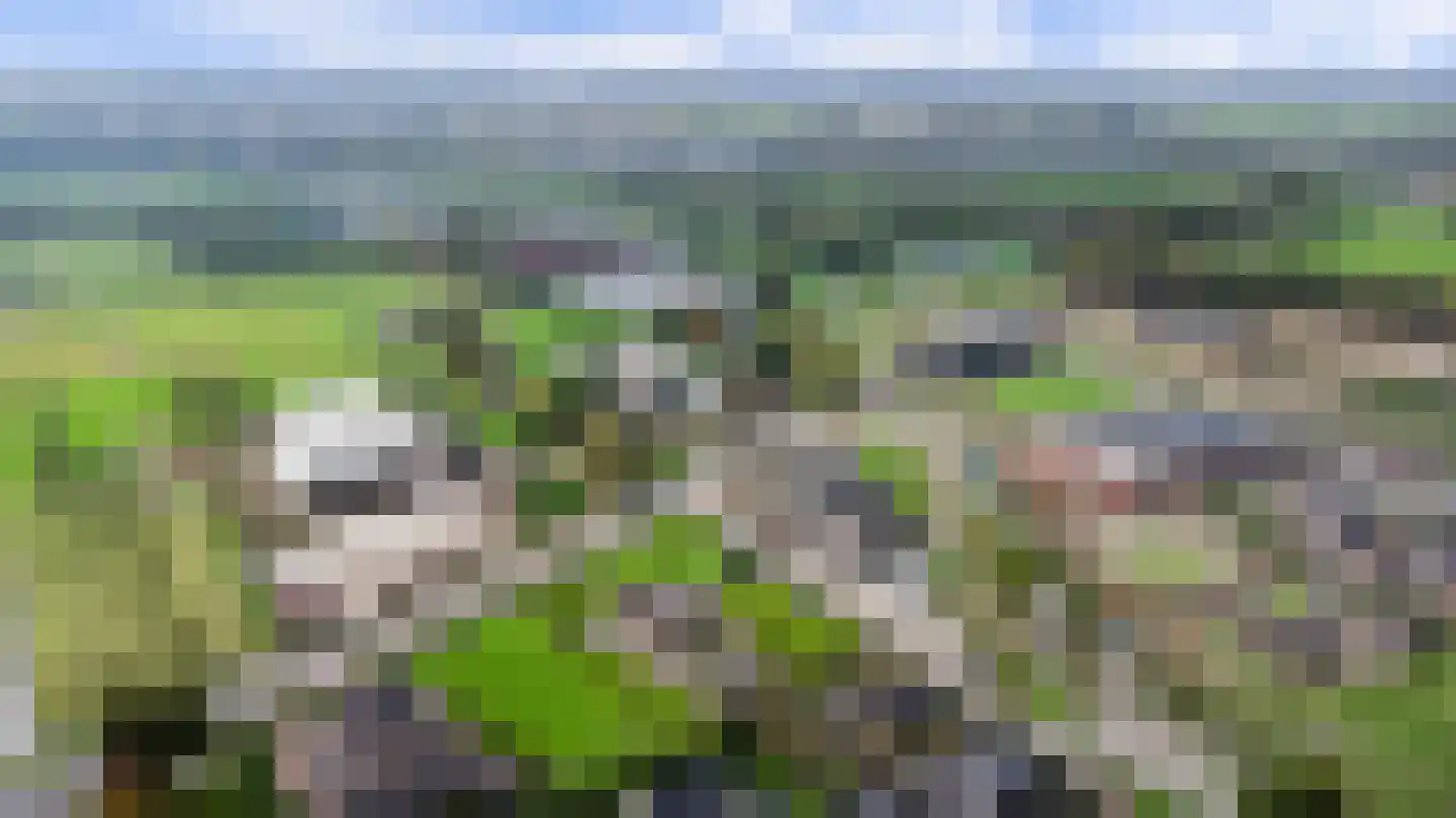 Ommestraat 3 Kesteren thumbnail 4