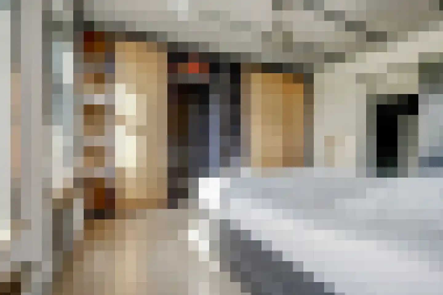 Ommestraat 3 Kesteren thumbnail 46