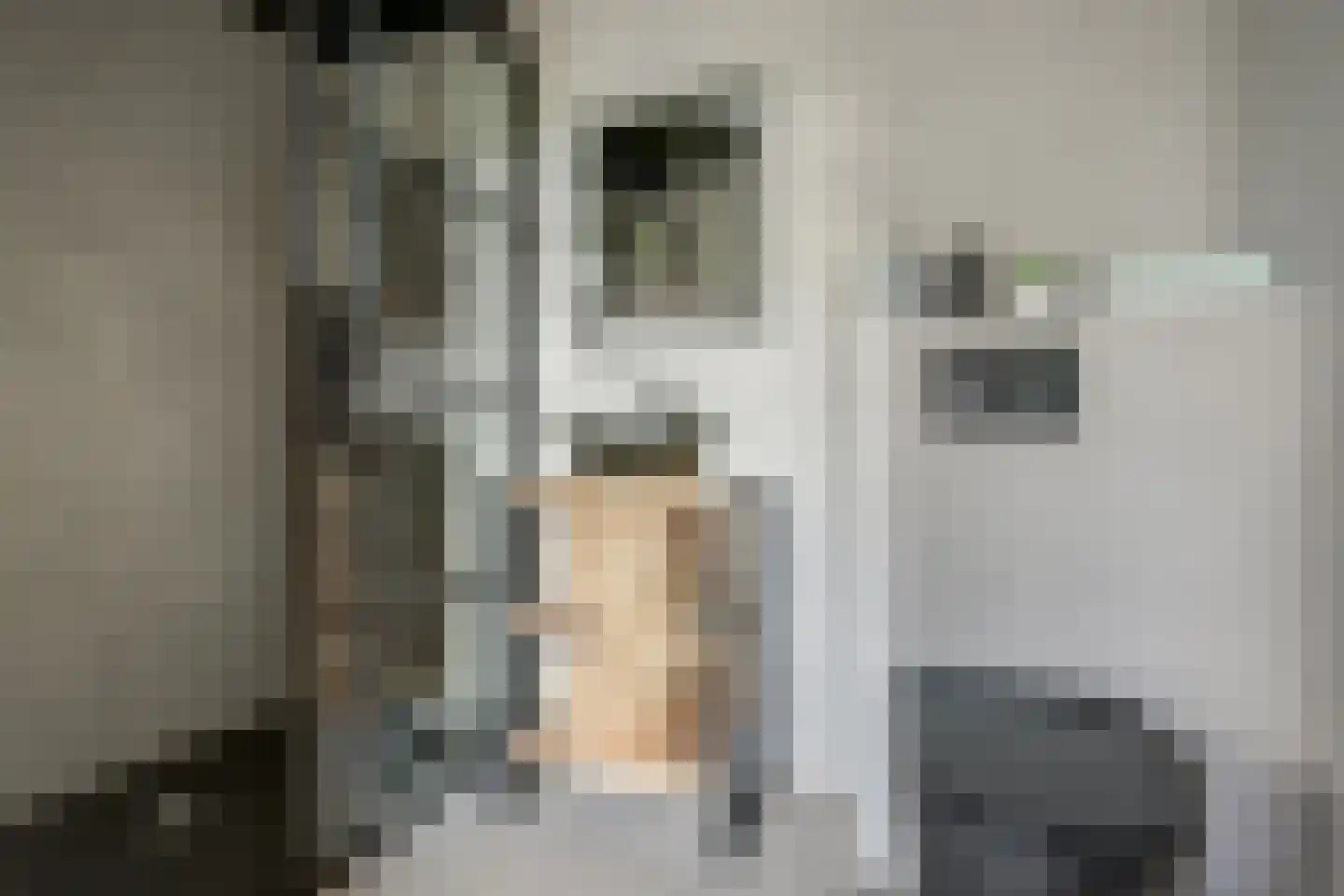 Ommestraat 3 Kesteren thumbnail 55