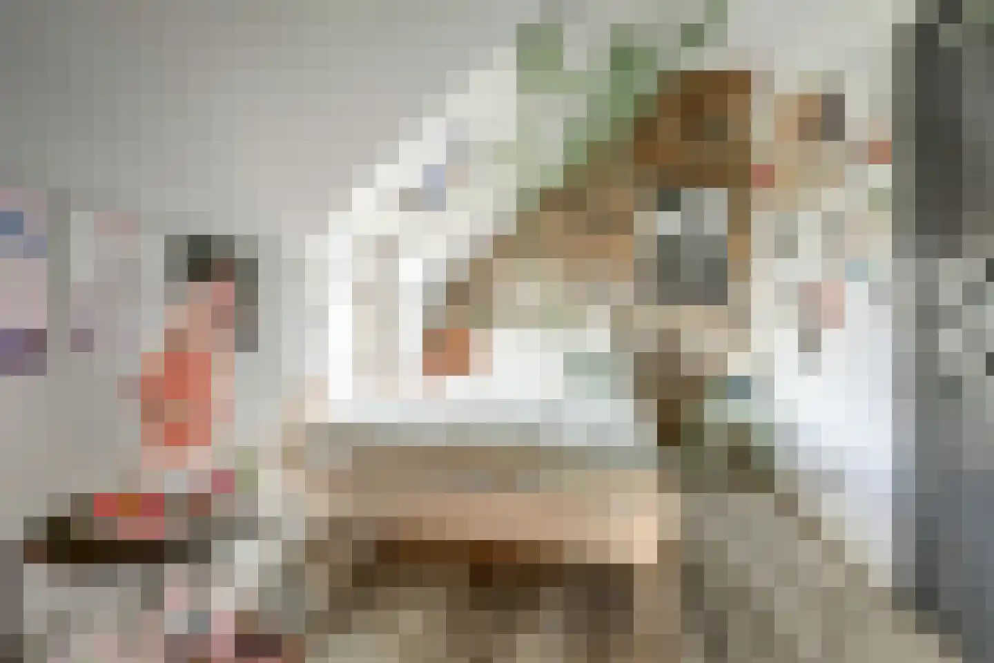 Ommestraat 3 Kesteren thumbnail 64