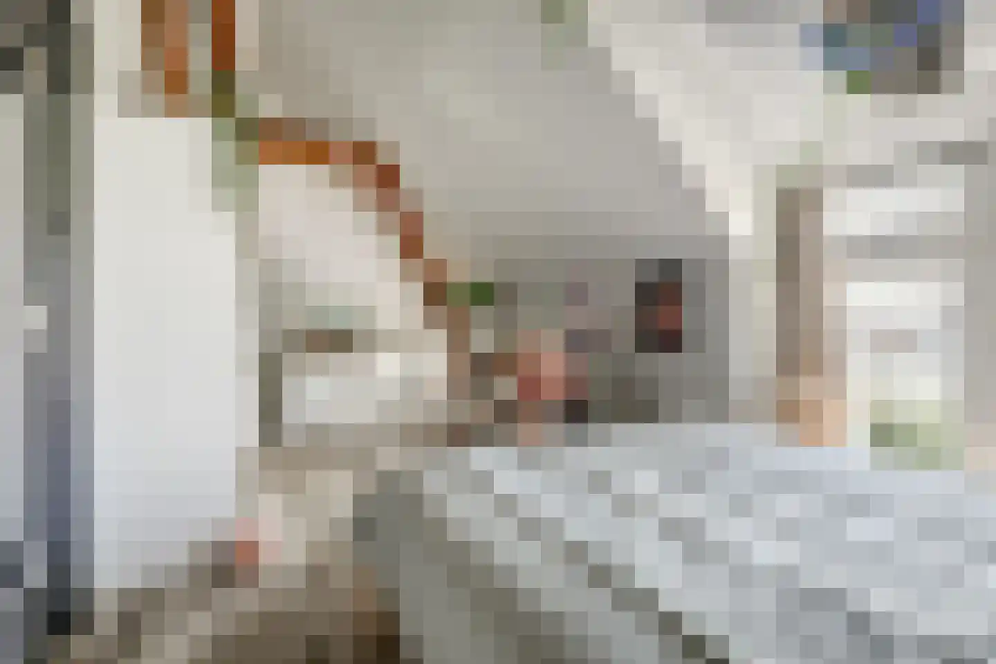 Ommestraat 3 Kesteren thumbnail 65