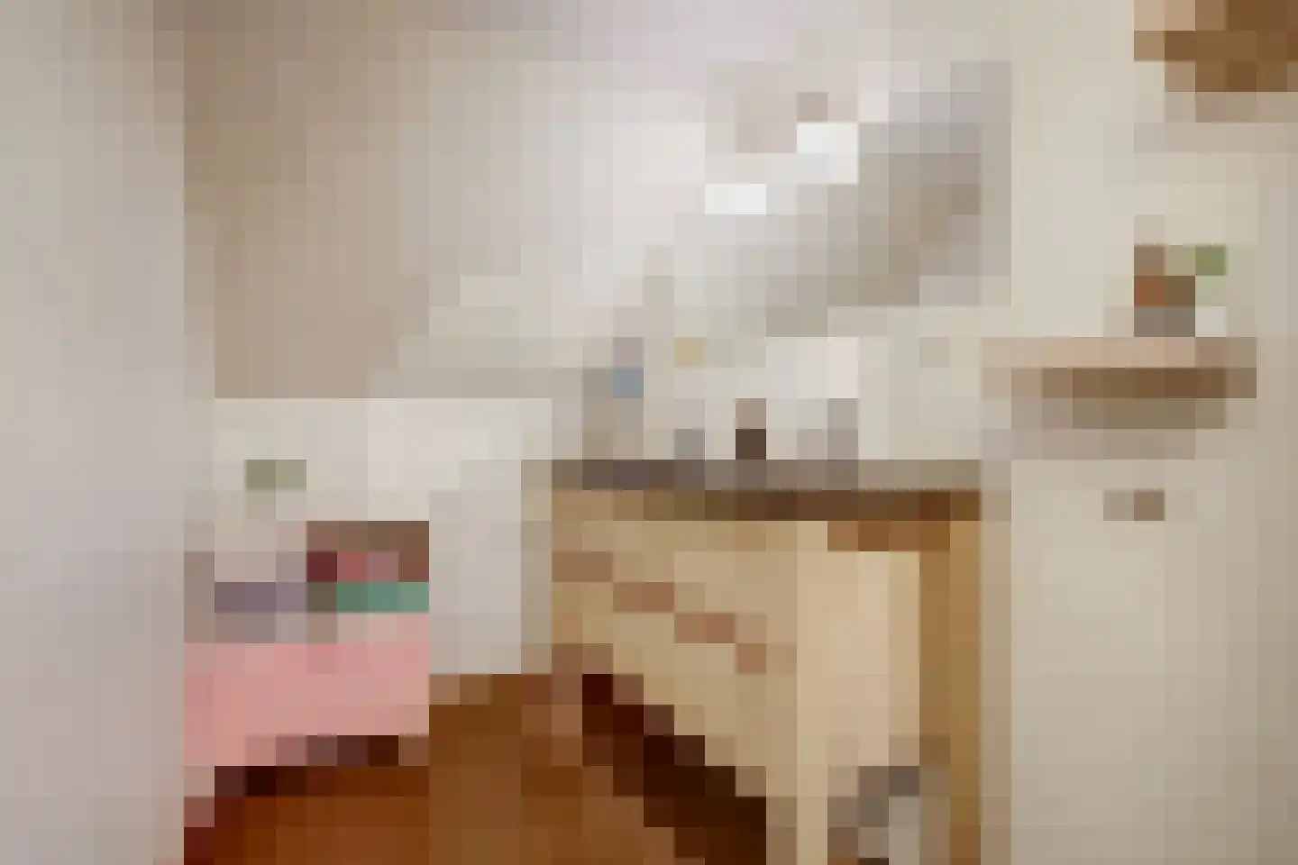 Ommestraat 3 Kesteren thumbnail 73