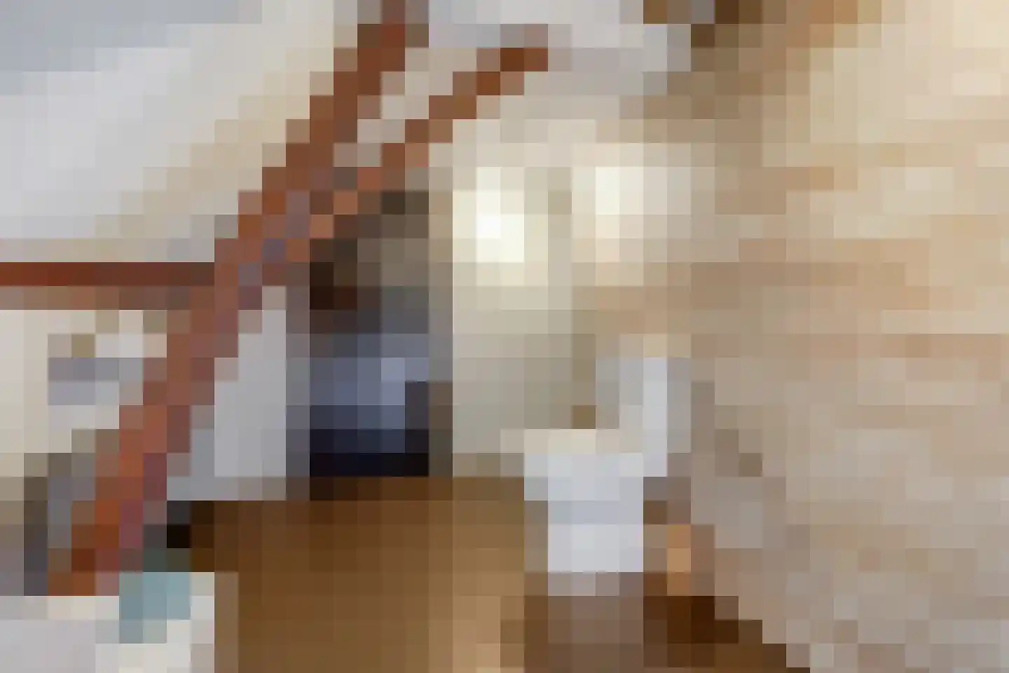 Ommestraat 3 Kesteren thumbnail 75