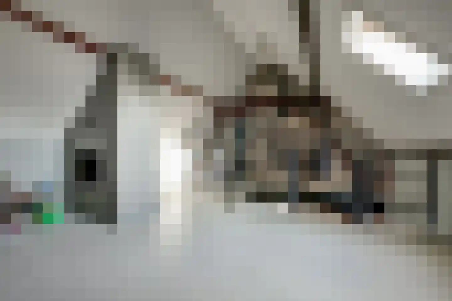 Ommestraat 3 Kesteren thumbnail 79