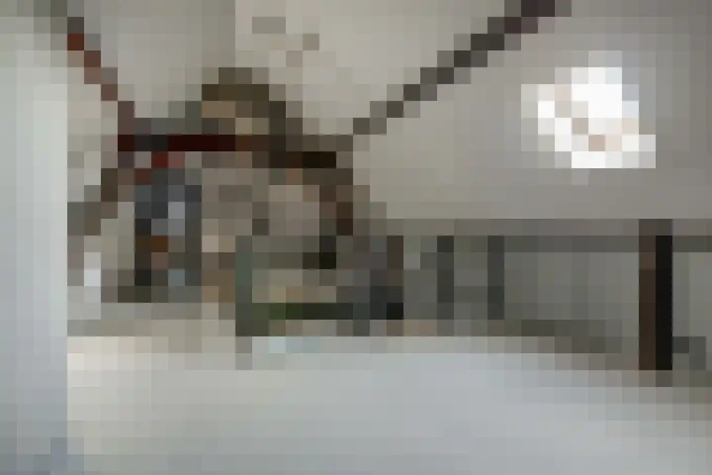 Ommestraat 3 Kesteren thumbnail 80