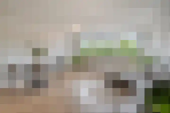 Ommestraat 3 Kesteren thumbnail 90