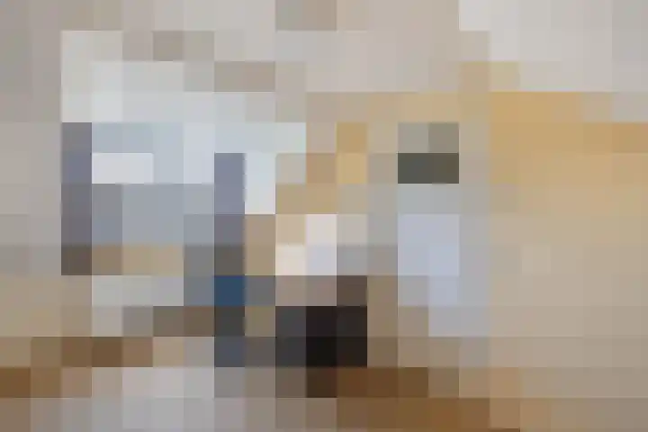 Omroeplaan 34 Huizen thumbnail 31