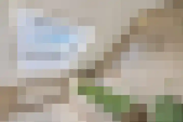Omroeplaan 34 Huizen thumbnail 33