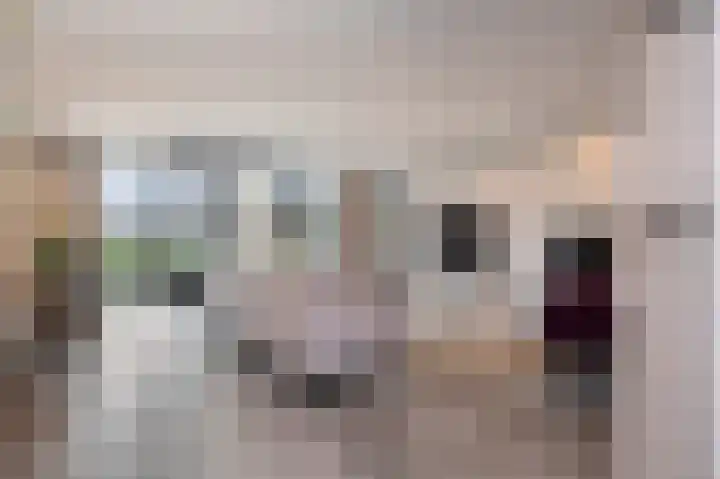 Omstraat 42 Born thumbnail 16